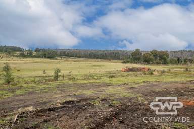 Farm For Sale - NSW - Torrington - 2371 - Lifestyle With Building Entitlement  (Image 2)