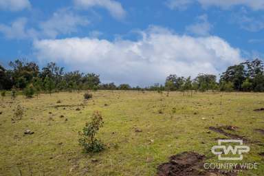 Farm For Sale - NSW - Torrington - 2371 - Lifestyle With Building Entitlement  (Image 2)