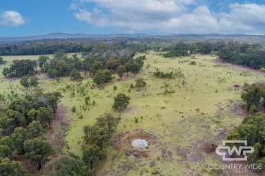 Farm For Sale - NSW - Torrington - 2371 - Lifestyle With Building Entitlement  (Image 2)