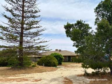 Farm For Sale - WA - Trayning - 6488 - Spacious 4-Bedroom Brick Homestead on 25 Acres  (Image 2)