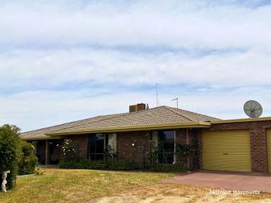 Farm For Sale - WA - Trayning - 6488 - BACK ON THE MARKET - Spacious 4-Bedroom Brick Homestead on 25 Acres  (Image 2)