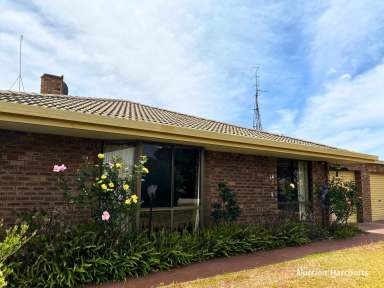 Farm For Sale - WA - Trayning - 6488 - BACK ON THE MARKET - Spacious 4-Bedroom Brick Homestead on 25 Acres  (Image 2)