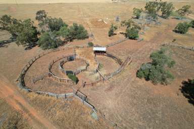 Farm For Sale - NSW - Carinda - 2831 - Myallawa  (Image 2)