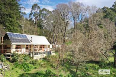 Farm For Sale - VIC - Gormandale - 3873 - "KOONGOORA"  (Image 2)