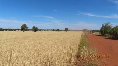 Farm For Sale - NSW - Hermidale - 2831 - KALLARA  (Image 2)