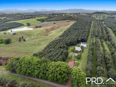 Farm Auction - NSW - Dorroughby - 2480 - 17+ Acres with Home, Cottage, Studio, Pool  (Image 2)