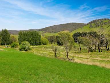 Farm For Sale - VIC - Omeo - 3898 - YOUR ALPINE DREAM STARTS HERE!  (Image 2)