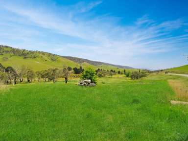 Farm For Sale - VIC - Omeo - 3898 - YOUR ALPINE DREAM STARTS HERE!  (Image 2)