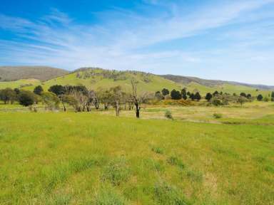 Farm For Sale - VIC - Omeo - 3898 - YOUR ALPINE DREAM STARTS HERE!  (Image 2)