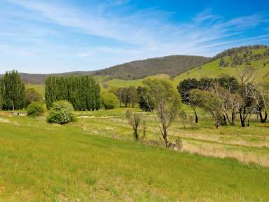 Farm For Sale - VIC - Omeo - 3898 - YOUR ALPINE DREAM STARTS HERE!  (Image 2)