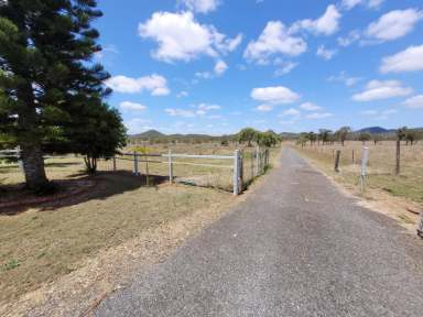 Farm For Sale - QLD - Kunwarara - 4702 - Lovely home on 100 fertile acres (40.01ha)  with great water  (Image 2)