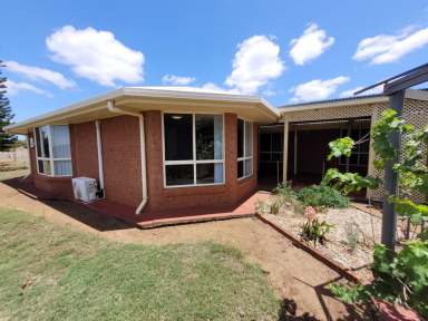 Farm For Sale - QLD - Kunwarara - 4702 - Lovely home on 100 fertile acres (40.01ha)  with great water  (Image 2)