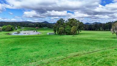 Farm For Sale - NSW - Wauchope - 2446 - 100 Grazing Acres with Building Entitlement - Mid North Coast  (Image 2)