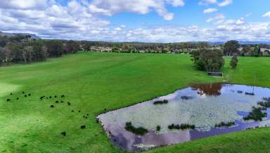 Farm For Sale - NSW - Wauchope - 2446 - 100 Grazing Acres with Building Entitlement - Mid North Coast  (Image 2)