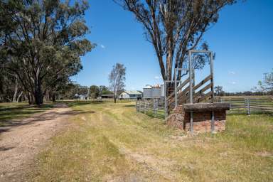 Farm Auction - VIC - Pranjip - 3666 - 1473 Pranjip Road, Pranjip - Rural Lifestyle Living Just 15 Minutes from Euroa  (Image 2)