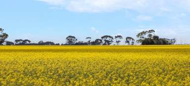 Farm For Sale - VIC - Foxhow - 3323 - TOP CLASS SOUTH WEST VICTORIAN COUNTRY  (Image 2)