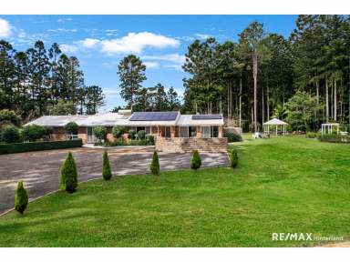 Farm For Sale - QLD - Booroobin - 4552 - Private low maintenance home on 1.5 level acres of mature parklands - Maleny!  (Image 2)