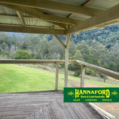 Farm For Sale - NSW - Rookhurst - 2422 - LIVE QUIETLY IN NATURE'S WONDERLAND  (Image 2)