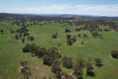 Farm Auction - NSW - Caloola - 2795 - "Summer Hill" - Property Destocked, Plenty of Feed & Time to Sell  (Image 2)