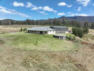 Farm For Sale - NSW - Cobargo - 2550 - WORK FROM HOME IN THE MOUNTAINS  (Image 2)