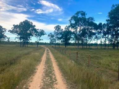 Farm For Sale - QLD - St Lawrence - 4707 - Grazing & Lifestyle - St Lawrence  (Image 2)