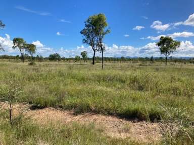 Farm For Sale - QLD - St Lawrence - 4707 - Grazing & Lifestyle - St Lawrence  (Image 2)