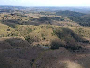 Farm For Sale - QLD - Tablelands - 4605 - Crownthorpe Scrub Grazing  (Image 2)