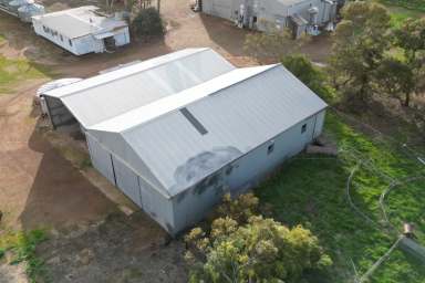 Farm For Sale - WA - Tincurrin - 6361 - Established Rural Business Opportunity  (Image 2)