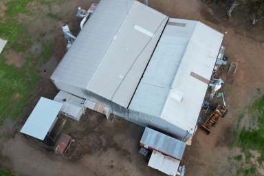 Farm For Sale - WA - Tincurrin - 6361 - Established Rural Business Opportunity  (Image 2)