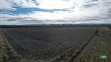 175 Campbells Road, Mondure QLD 4611