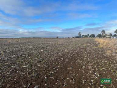 Farm For Sale - QLD - Mondure - 4611 - BLACK SOIL CULTIVATION   (Image 2)