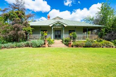 Farm For Sale - NSW - Culcairn - 2660 - "Orange Grove"  (Image 2)