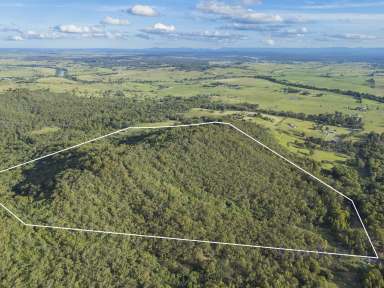 Farm For Sale - NSW - Elderslie - 2335 - YOUR OWN PIECE OF PARADISE  (Image 2)