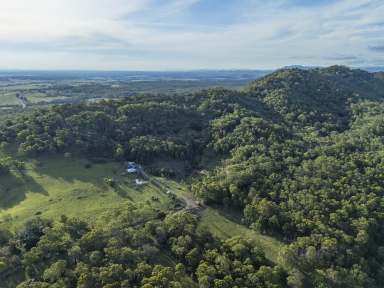 Farm For Sale - NSW - Elderslie - 2335 - YOUR OWN PIECE OF PARADISE  (Image 2)