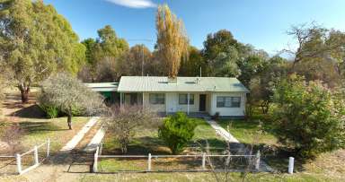 Farm Sold - VIC - Benambra - 3900 - Lakeside Lodge  (Image 2)