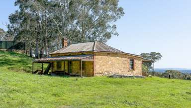 Farm For Sale - SA - Prospect Hill - 5201 - Country Living - Prospect Hill  (Image 2)