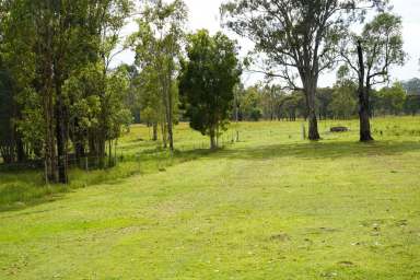 Farm For Sale - NSW - Casino - 2470 - GRAZING & LIFESTYLE PROPERTY  (Image 2)