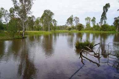 Farm For Sale - NSW - Casino - 2470 - GRAZING & LIFESTYLE PROPERTY  (Image 2)