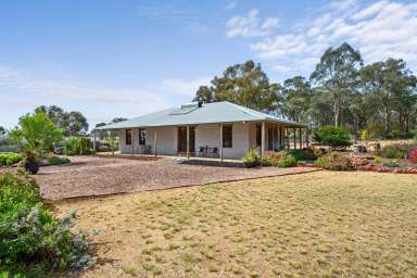 Farm For Sale - VIC - Goornong - 3557 - STUNNING  MUD BRICK RURAL RETREAT ON 20 ACRES  (Image 2)