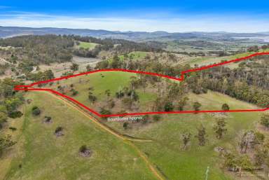 Farm For Sale - TAS - Richmond - 7025 - Historic Richmond at your feet  (Image 2)