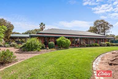 Farm For Sale - SA - Barabba - 5460 - IDEAL COUNTRY LIVING  (Image 2)