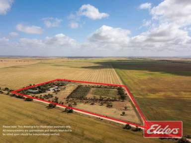 Farm For Sale - SA - Barabba - 5460 - IDEAL COUNTRY LIVING  (Image 2)