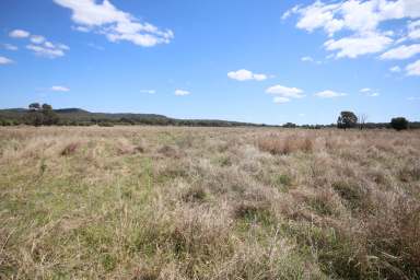 Farm For Sale - QLD - Monto - 4630 - Top Quality Kapaldo Scrub Country  (Image 2)