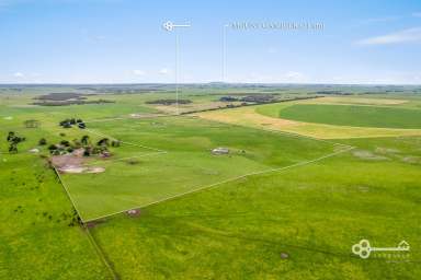 Farm For Sale - SA - Mount Schank - 5291 - 63 Acres of Prime Rural Land  (Image 2)