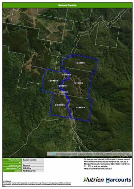 Farm For Sale - TAS - Pyengana - 7216 - "Beckers" - Forestry/Plantation/Commercial Timber  (Image 2)