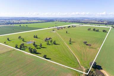 Farm For Sale - NSW - Cowra - 2794 - 160 ACRES OF HIGH QUALITY COWRA FARMING COUNTRY!  (Image 2)