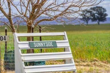 Farm For Sale - NSW - Cowra - 2794 - 160 ACRES OF HIGH QUALITY COWRA FARMING COUNTRY!  (Image 2)