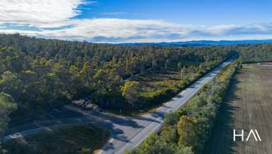 Farm For Sale - TAS - Pipers River - 7252 - Unique Bushland Opportunity  (Image 2)