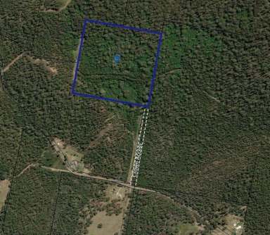 Farm For Sale - TAS - Turners Marsh - 7267 - 14.8HA of beautiful Tasmanian land  (Image 2)