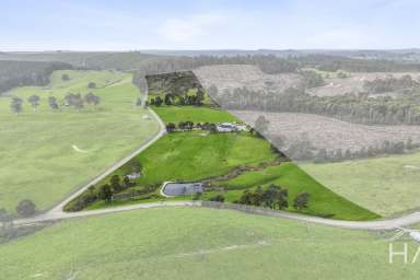 Farm For Sale - TAS - Tunnel - 7254 - Your Dream Hobby Farm Awaits!  (Image 2)